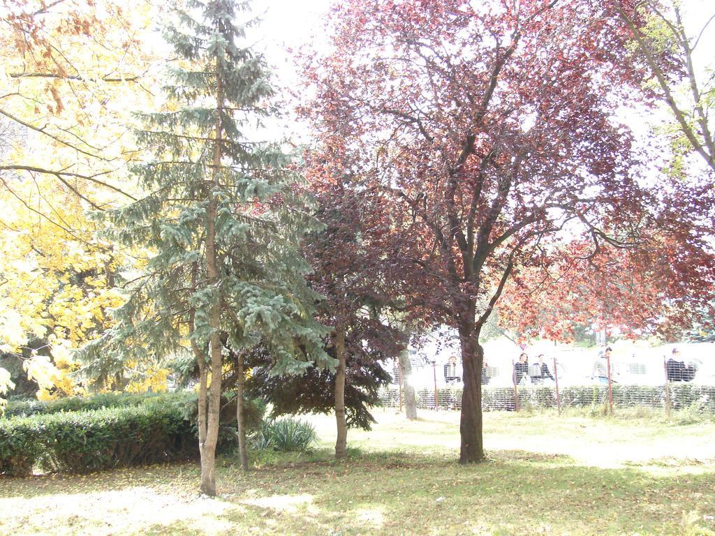 Central City Ap Nagyszeben Kültér fotó